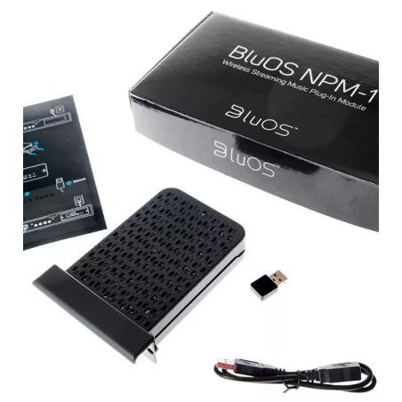 DALI CALLISTO NPM-1 BluOS