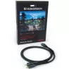 CABLE RCA STEREO AUDIOQUEST EVERGREEN