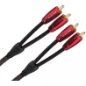 CABLE RCA STEREO AUDIOQUEST GOLDEN GATE