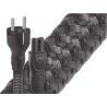 CALE SECTEUR 2 POLES AUDIOQUEST NRG Y2