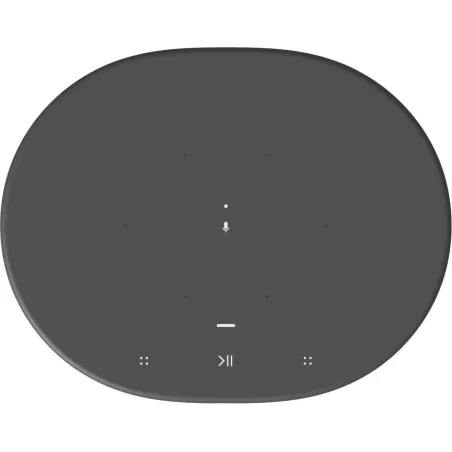 SONOS MOVE