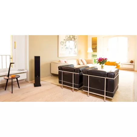 System Audio SAXO 60