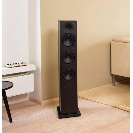 System Audio SAXO 60