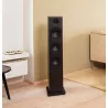 System Audio SAXO 60