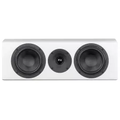SYSTEM AUDIO LEGEND 10 SILVERBACK