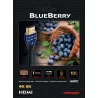 AUDIOQUEST BLUEBERRY HDMI 18G