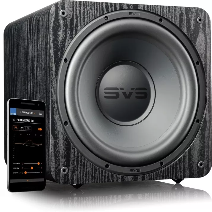 Caisson de graves SVS SB-1000 PRO