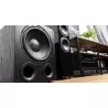 Caisson de basses SVS PB-1000 Pro