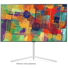 LG FS21GB
