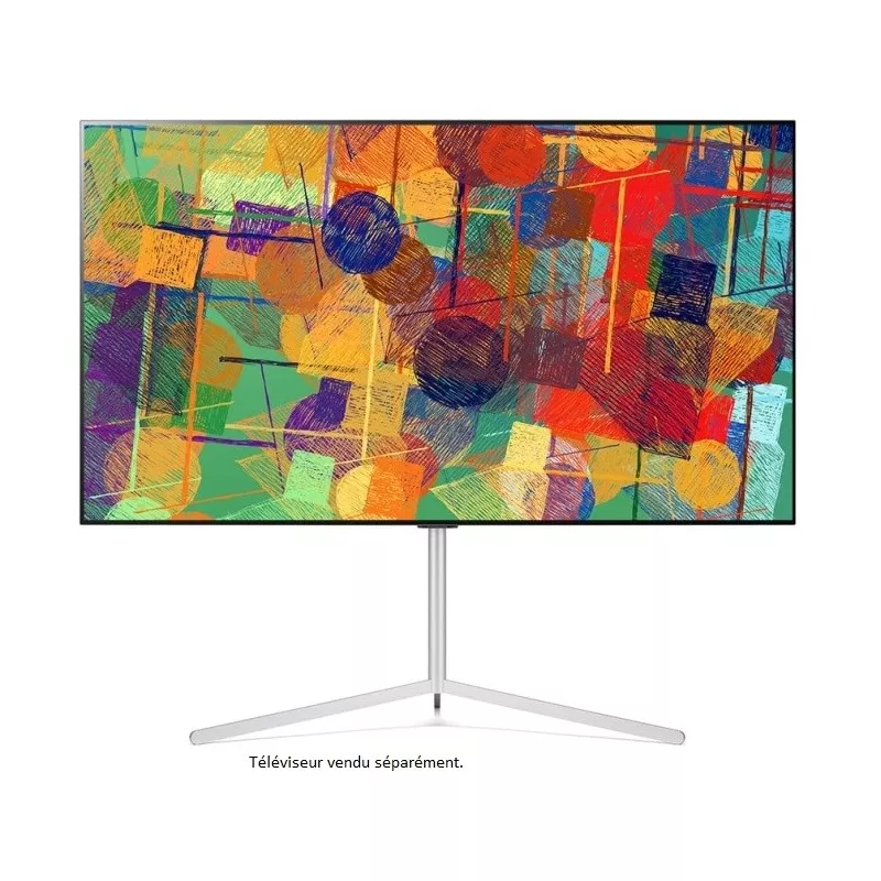 LG FS21GB