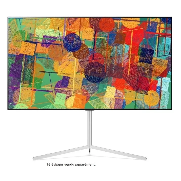 LG FS21GB
