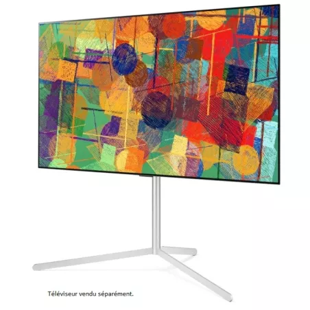 LG FS21GB