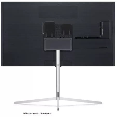 LG FS21GB
