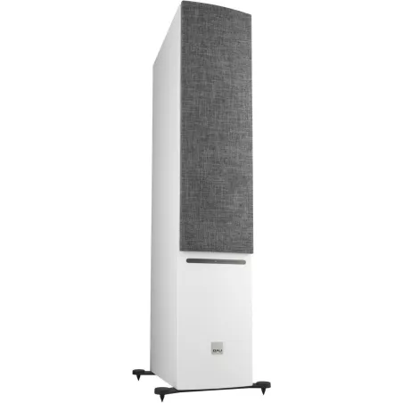 DALI RUBICON 6 C BLANC + SOUND HUB