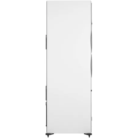 DALI RUBICON 6 C BLANC + SOUND HUB