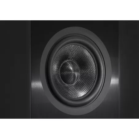 Enceinte cinéma Elipson INFINITE 8
