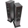 Paire d'enceintes colonne SONUS FABER LUMINA V