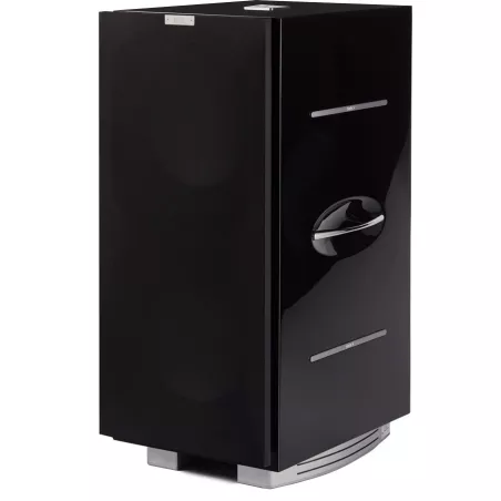 Caisson de basses REL 212 SX