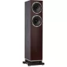 Paire d'enceintes colonne Fyne Audio F501