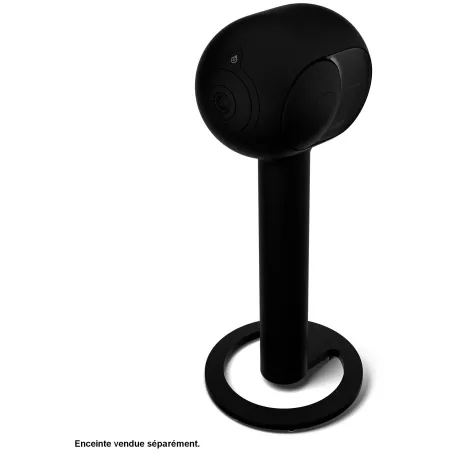 Pied DEVIALET TREE pour enceinte PHANTOM I