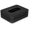 BLUESOUND POWERNODE + SONUS FABER LUMINA I