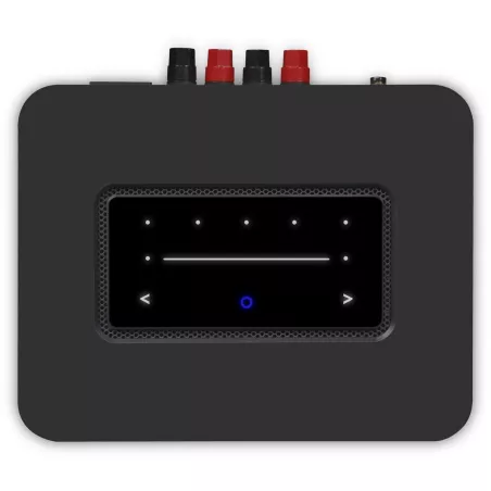 BLUESOUND POWERNODE + SONUS FABER LUMINA I