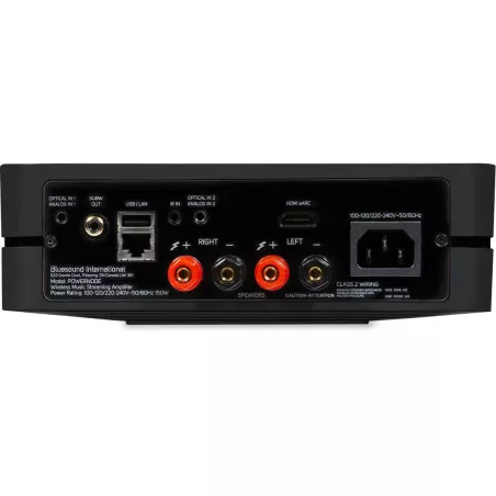 BLUESOUND POWERNODE + SONUS FABER LUMINA I