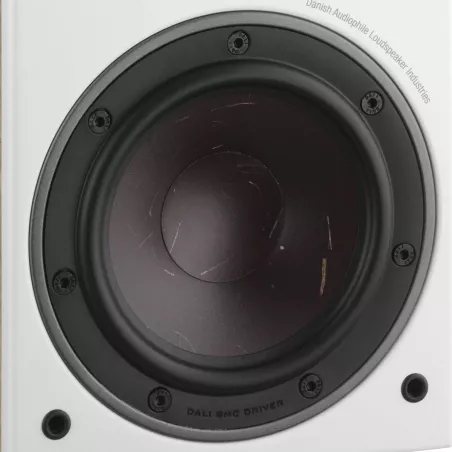 DALI OBERON 1C + SOUND HUB COMPACT