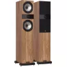 Paire d'enceintes colonne Fyne Audio F303i
