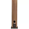 Paire d'enceintes colonne Fyne Audio F303i