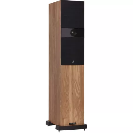 Paire d'enceintes colonne Fyne Audio F303i