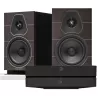 BLUESOUND POWERNODE + SONUS FABER LUMINA I