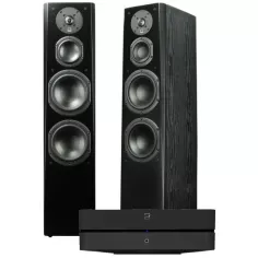 BLUESOUND POWERNODE + SVS PRIME TOWER