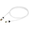 REAL CABLE TV-2