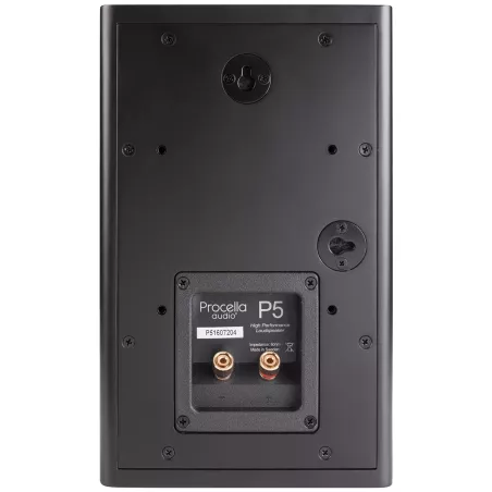 ENCEINTE CINEMA PROCELLA AUDIO P5