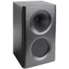 ENCEINTE CINEMA PROCELLA AUDIO P5