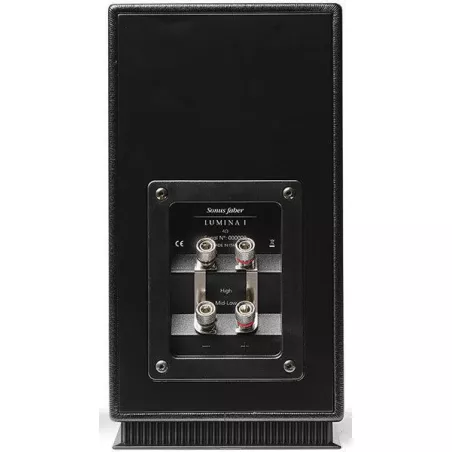 BLUESOUND POWERNODE + SONUS FABER LUMINA I