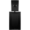 ENCEINTE CINEMA PROCELLA AUDIO P880