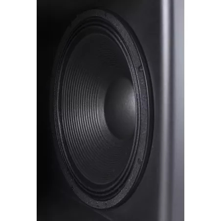 CAISSON DE GRAVES CINEMA PROCELLA AUDIO V21