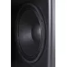 CAISSON DE GRAVES CINEMA PROCELLA AUDIO V21