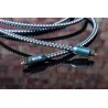 Cables optique SVS SOUNDPATH DIGITAL OPTICAL CABLE 