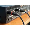 SVS XLR AUDIO MONO
