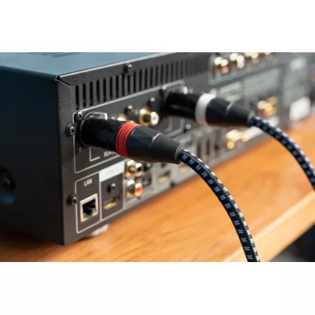 SVS XLR AUDIO MONO