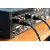 SVS XLR AUDIO MONO