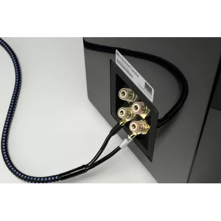ULTRA SPEAKER CABLE FICHES FOURCHES/FOURCHES