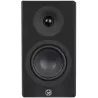 Paire d'enceintes sans fil, LEGEND 5.2 SILVERBACK WIRELESS