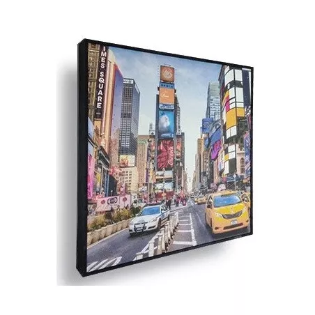 SONITUS ACOUSTICS PET FRAME PRINT