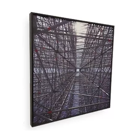 SONITUS ACOUSTICS PET FRAME PRINT