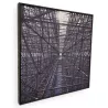 SONITUS ACOUSTICS PET FRAME PRINT
