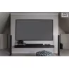 ECRAN DE PROJECTION ELITE SCREEN DAYWALKER FIXED FRAME